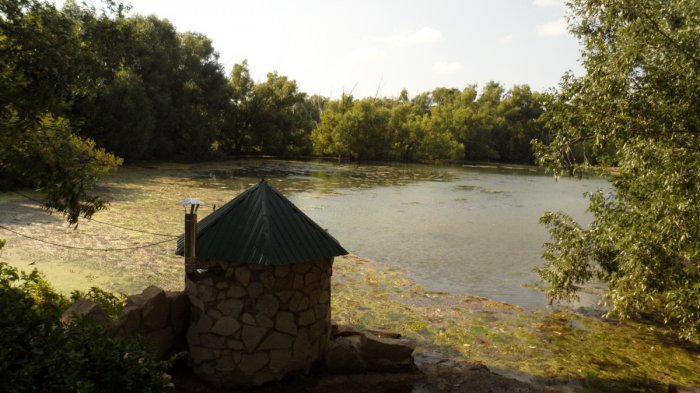 ������ ������������ ������� ���������