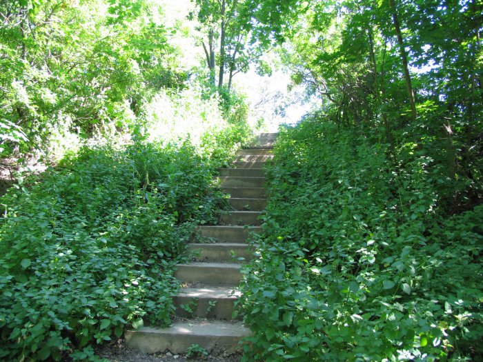 ������, ������ �������� ���� ��������