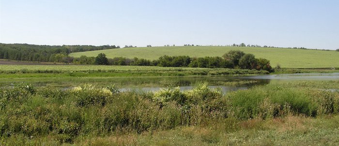 Исток реки Сухой Карабулак между селом Ириновка и поселком Голицыно