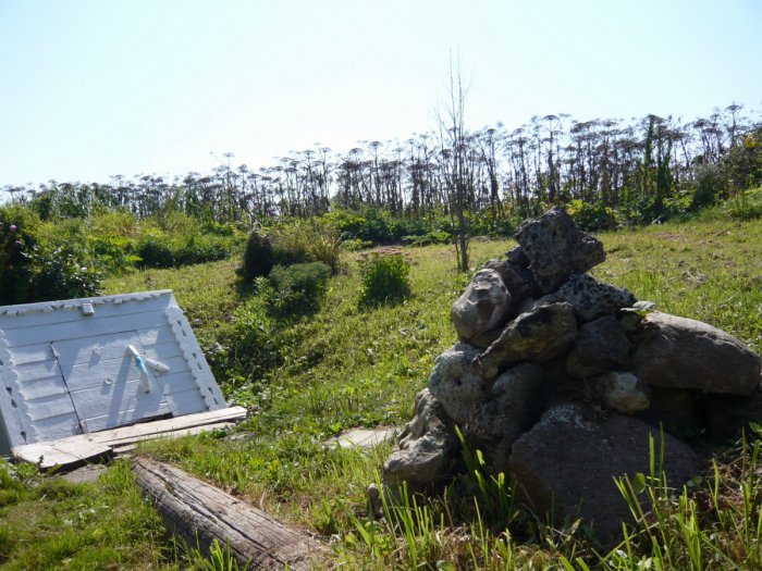 ������, ������ �������� ���������� ����� ������ ������ ����� �������