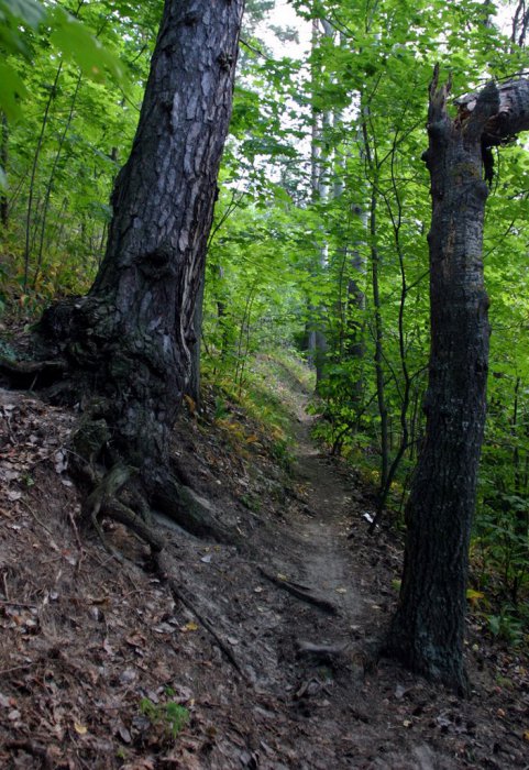 ������ �����������, ������ �������� ��������� ������� ���������� � ������� �������