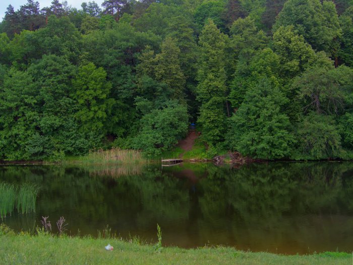 ������ �����������, ������ �������� ��������� ������� ���������� � ������� �������