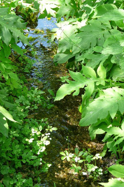 ������ ������� �����������