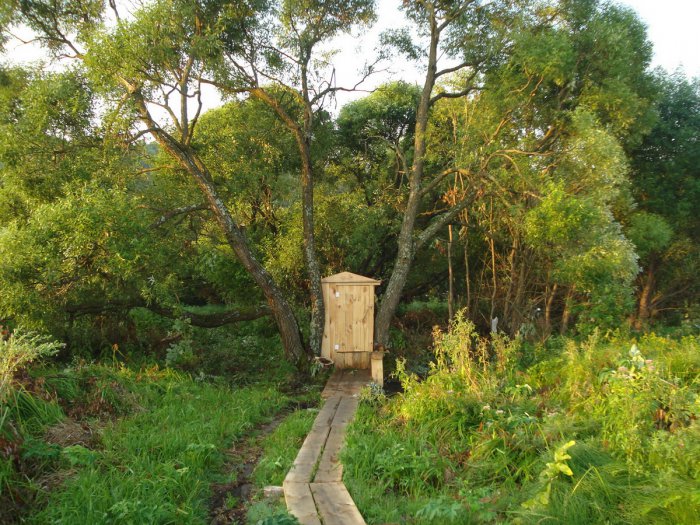 ������ � ���� �������� ����