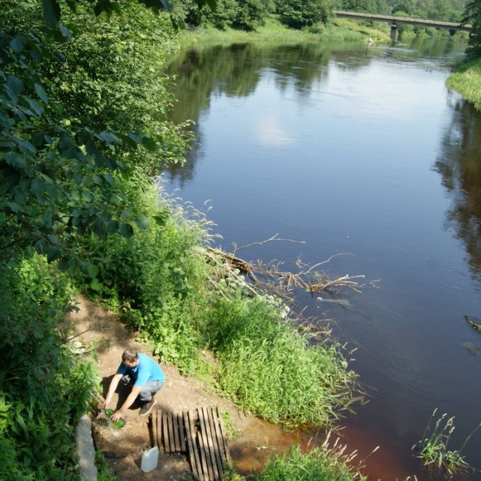 ������, ������ �������� ���������� ����� ������ ������ ����� �������� �����