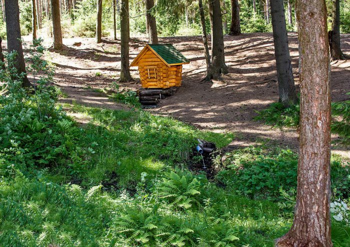 ������� ������������ ��� ����� ��������