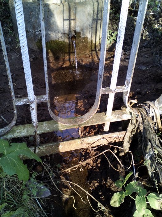 ������ ��������� ����� �������