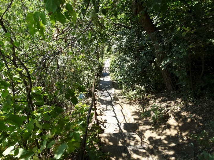 ������ �������� ����� ���������