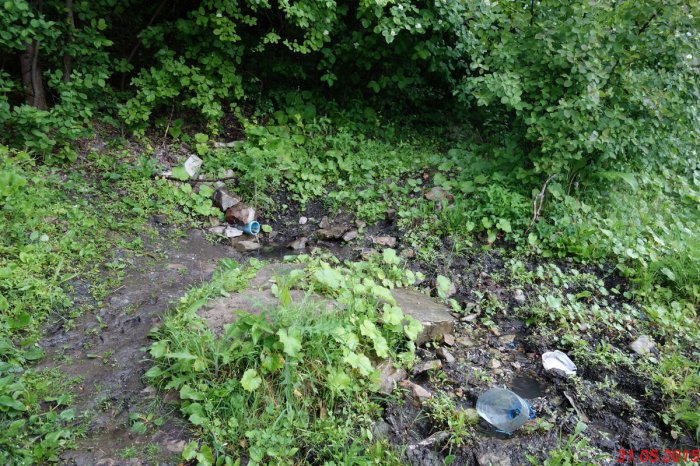 ������ ������� ����-��������