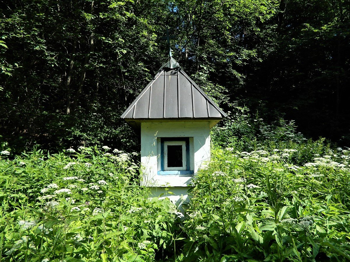 ������ ������ ������� ������