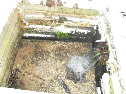 ������ ������� ������ ���� ��������