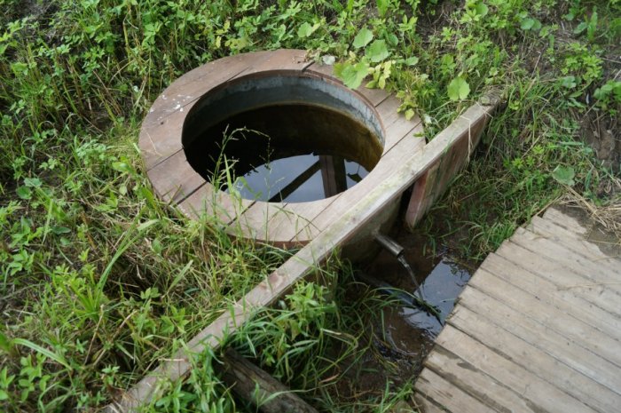 ������ ������� ����� ������� ����