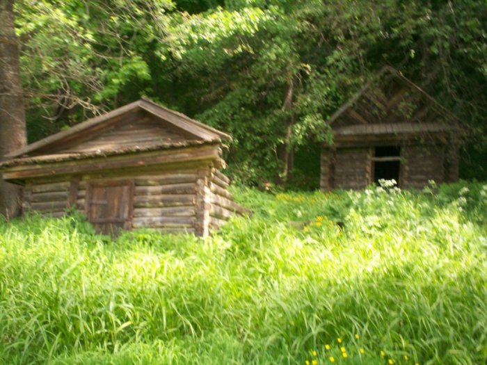 ������ ������� �����, ������ �������� ������������� ����� ������ ������ ���� �������