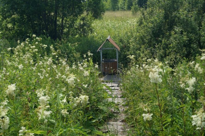 ������ ������������� � ������� �������