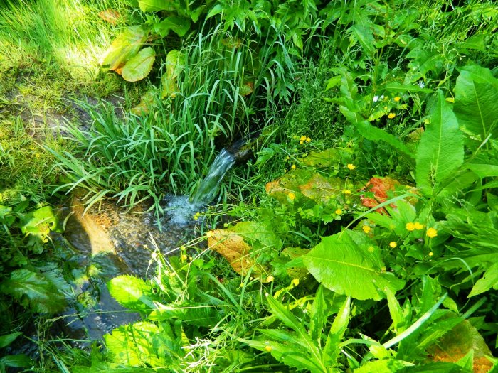 ������ ������ ������� ������