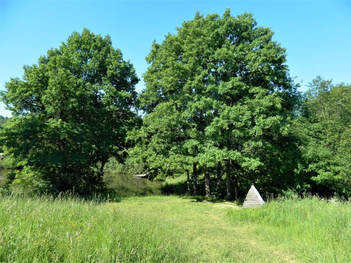 ������ ������� ������