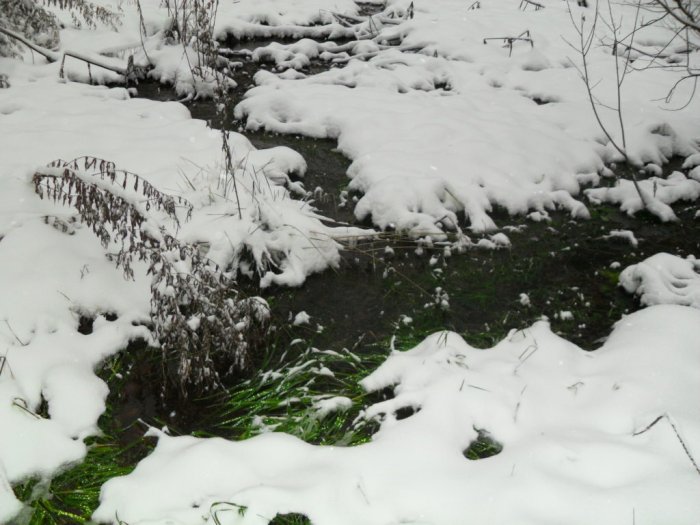 ������ ������� ������ ���� ��������