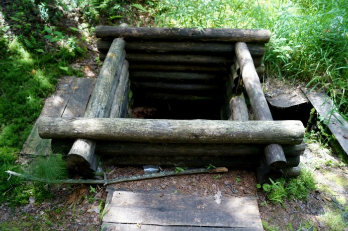 ������ ������� ���������, ������ ��������, ����������� ���� � ������� �������