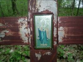 ������ ���������� � ���� ���������