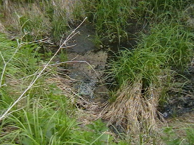 ������� ������� ����������