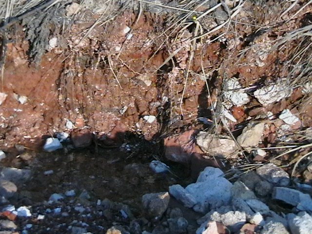 ������ �������� � ������� ������