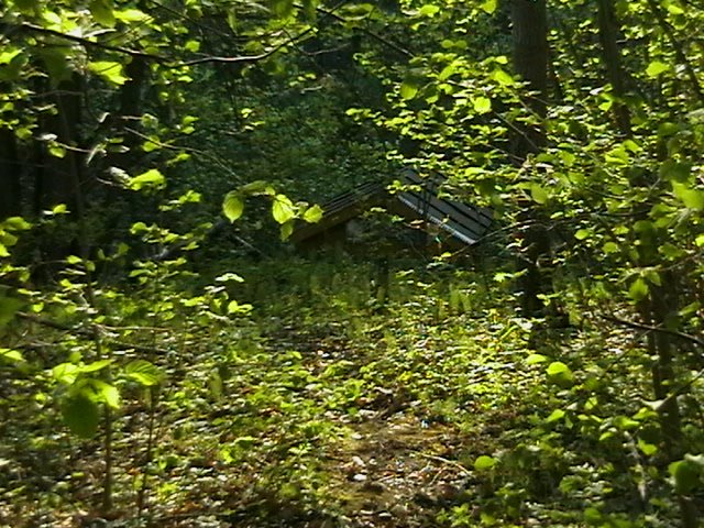 ������ ������� ���������