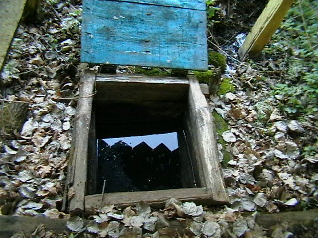 ������ ������� ���������