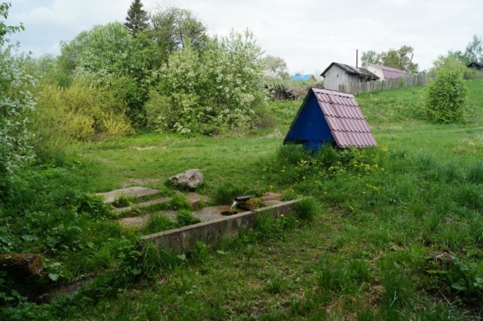 ������ ���� �����������