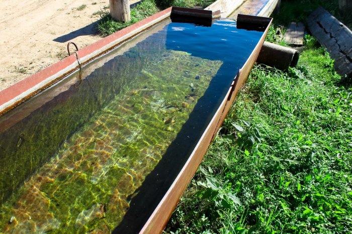 ������ ���� ��������