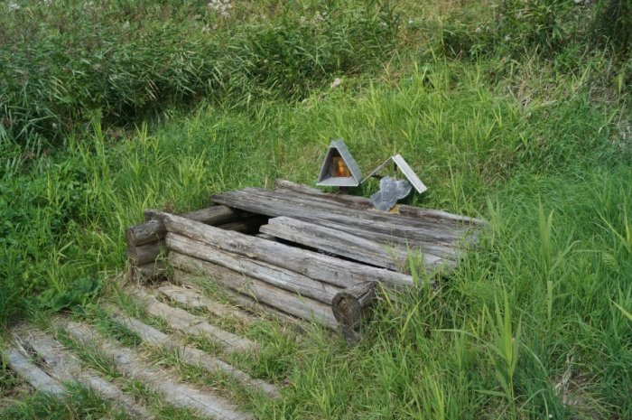 ������, ������ �������� ������������ �������� ���������� � ���� ���������