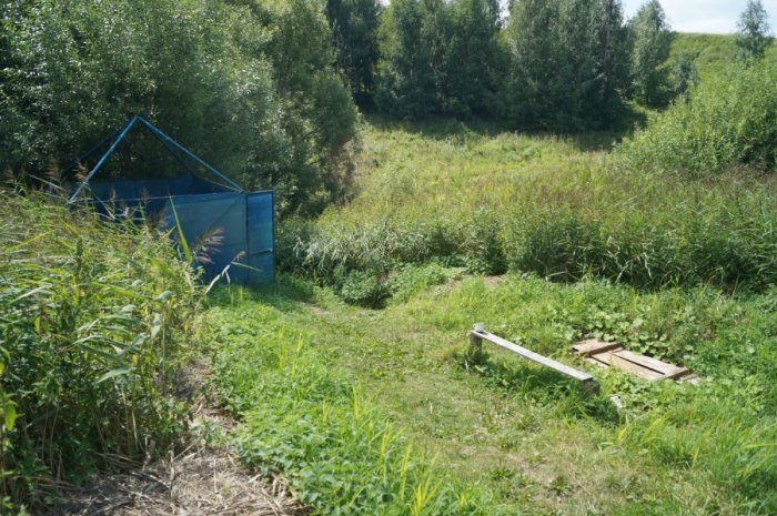 ������, ������ �������� ������������ �������� ���������� � ���� ���������