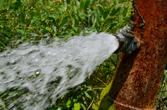 ������������� ��������, �������� �� ������ ���� ���� � ������� ������