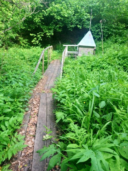 ������ ����������� ��������� ����� �������� ��������� � ����� ������