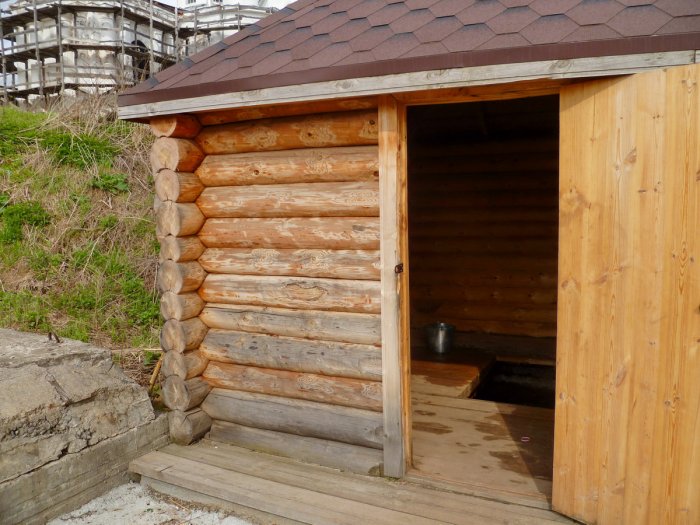 ������ ���� �������