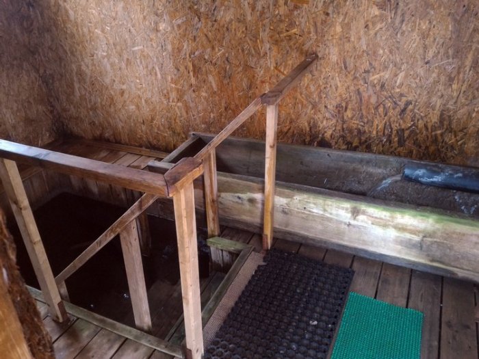 ������ ���� ���������