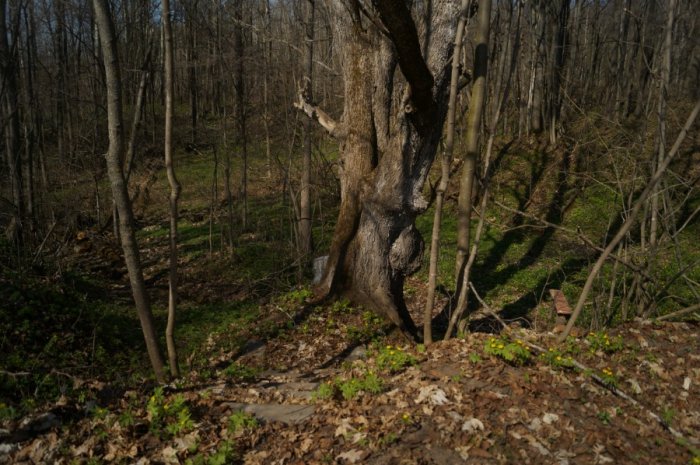 ������ ������� �������� � ������� ����� ����