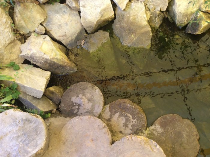 ������ ��������� �����, ������ �������� � ���� ������ �������