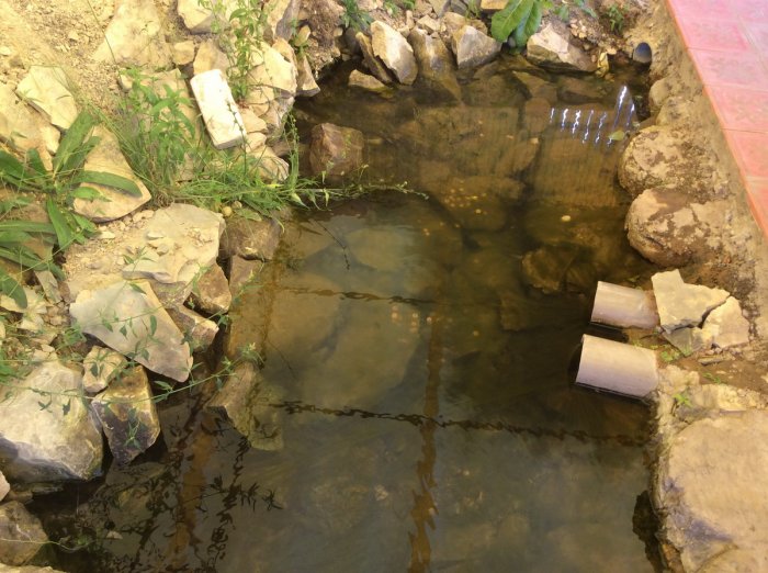 ������ ��������� �����, ������ �������� � ���� ������ �������