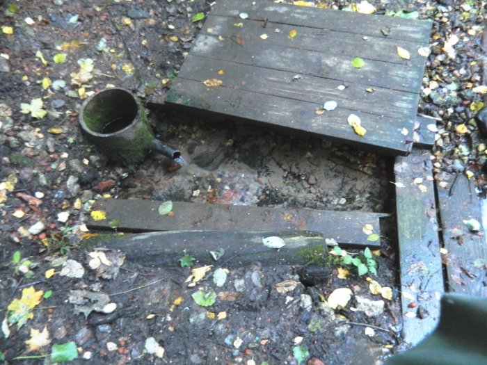 ������ ����������, ��������� �������� ������� ���� ������� �������-����������� ����� ����� ������