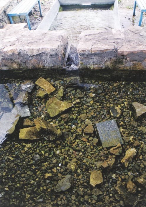 ������ ������� ���� ��������