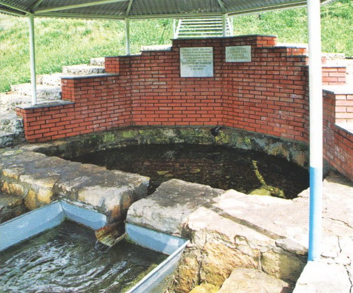 ������ ������� ���� ��������