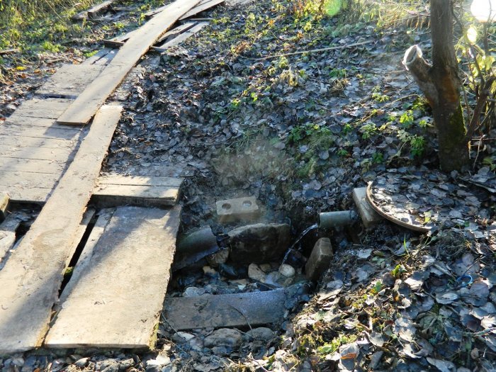 ������ � ������� �����������