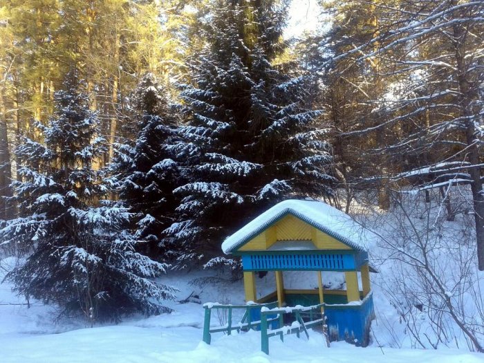 ������ ������� (��������) ���� ����� ���