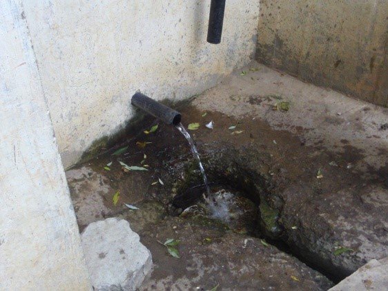 ������ �������� ���� ������� ������