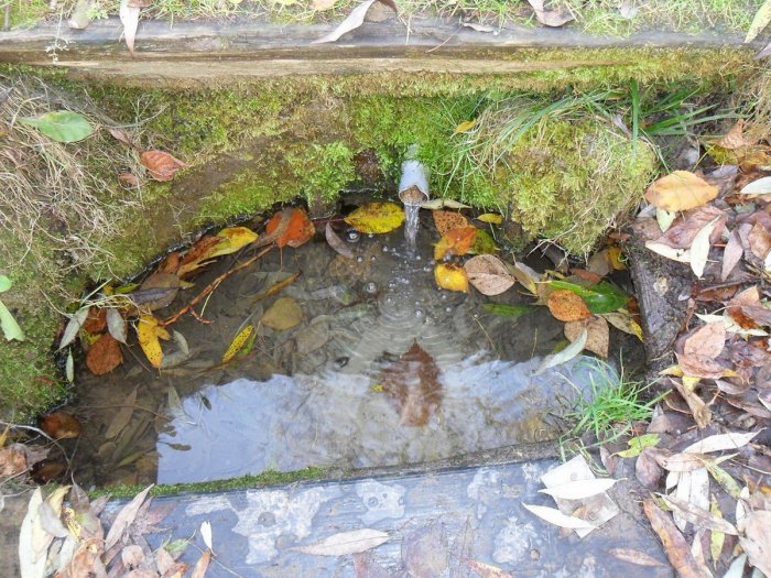 ������ ���� ��������