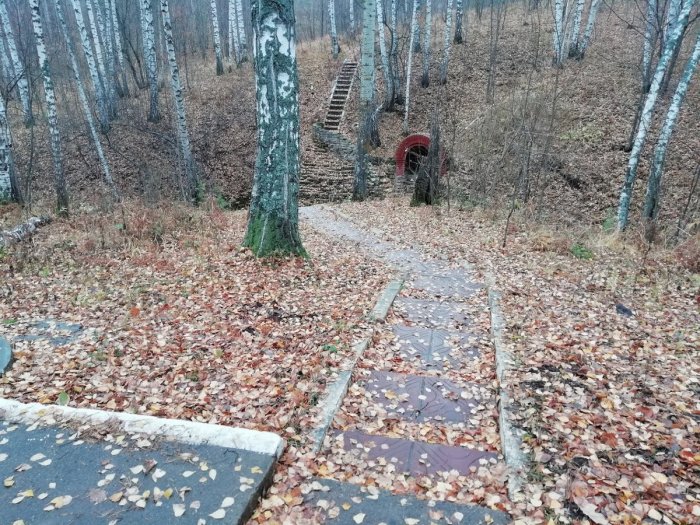 ������ ������� (������) � ������� �����������