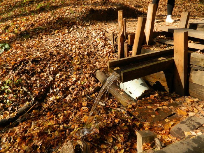 ������ ����������� �������� ������������� ���� ����� �����