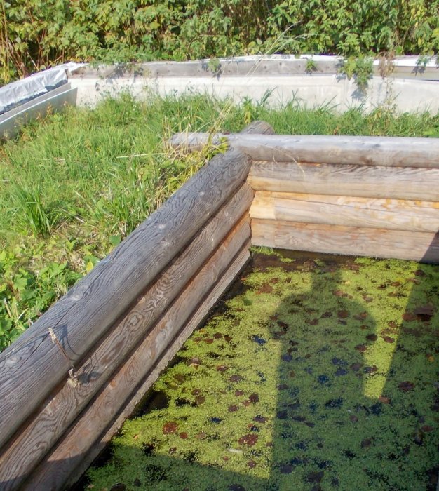 ������ ��������� ���� ����-����