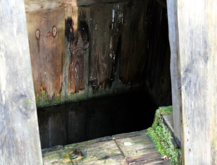 ������ ���� ����������