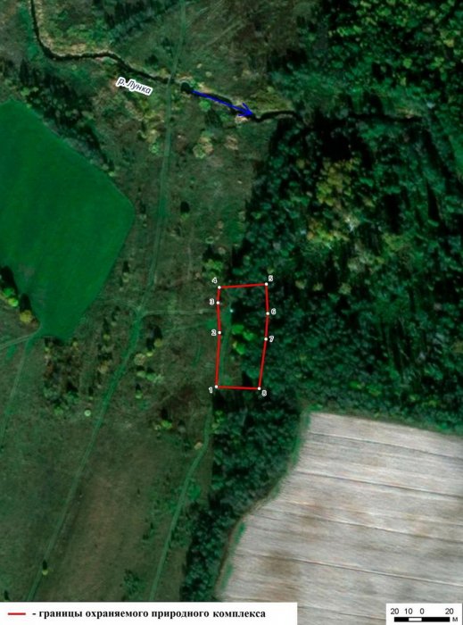 ������ � ������� ��������